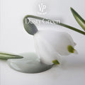 Dusty Green — Peinture à la craie Vintage Paint