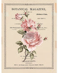 Decor Transfers – Beautiful Botanist