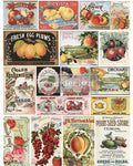 Decor Transfers – Vintage Seed